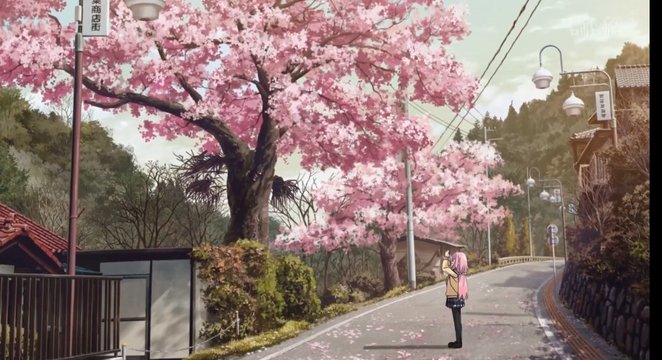Cherry tree west of Jōkō-in